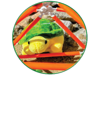 TB Turtle plush inside an orange geodesic dome