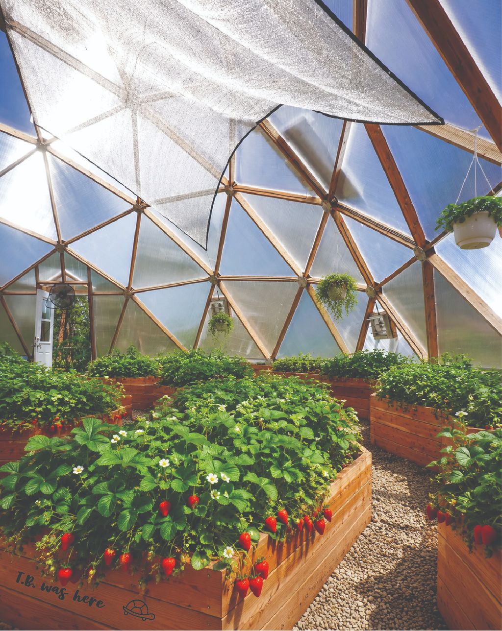 Interior of a geodesic growing dome with lush plants